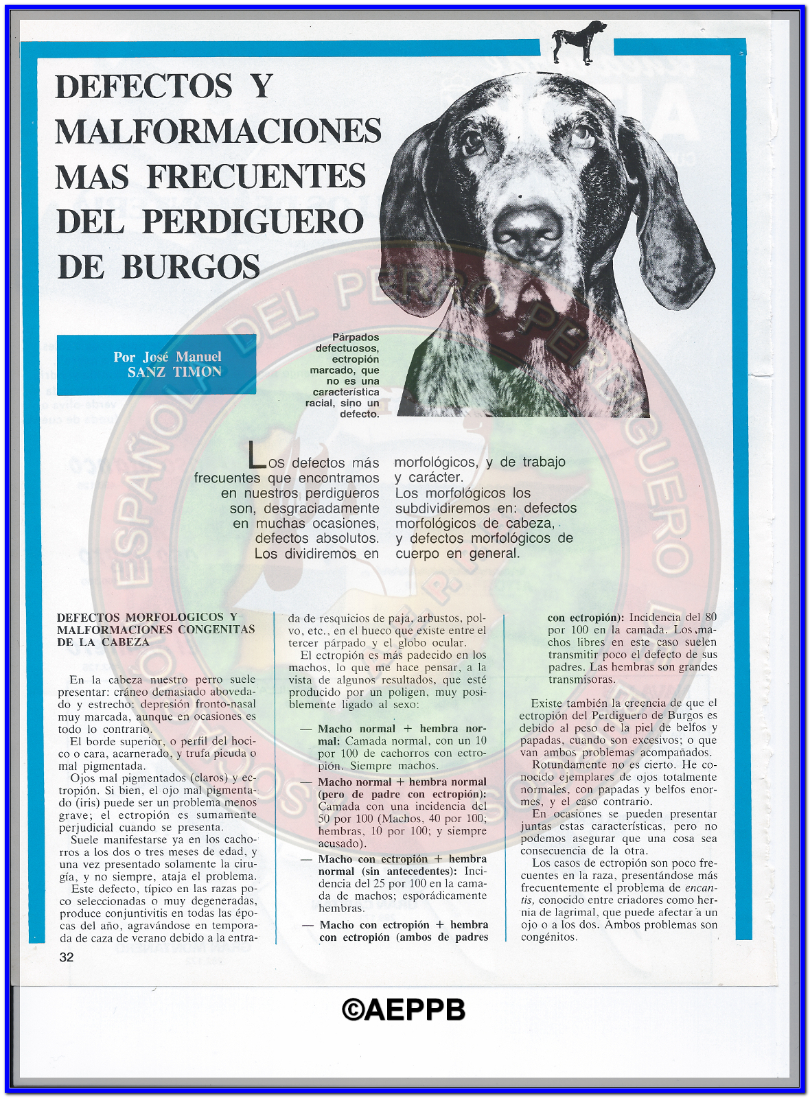 AEPPB PERDIGUERO DE BURGOS1 1180