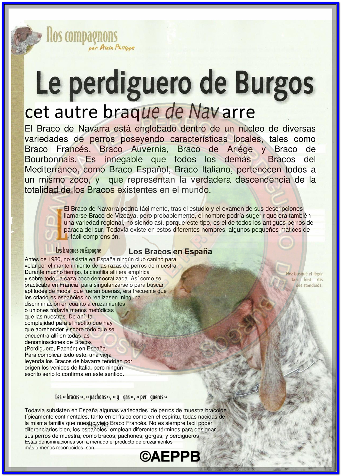 AEPPB PERDIGUERO DE BURGOS REVISTA ENERO 2017 BECADA21127X1574