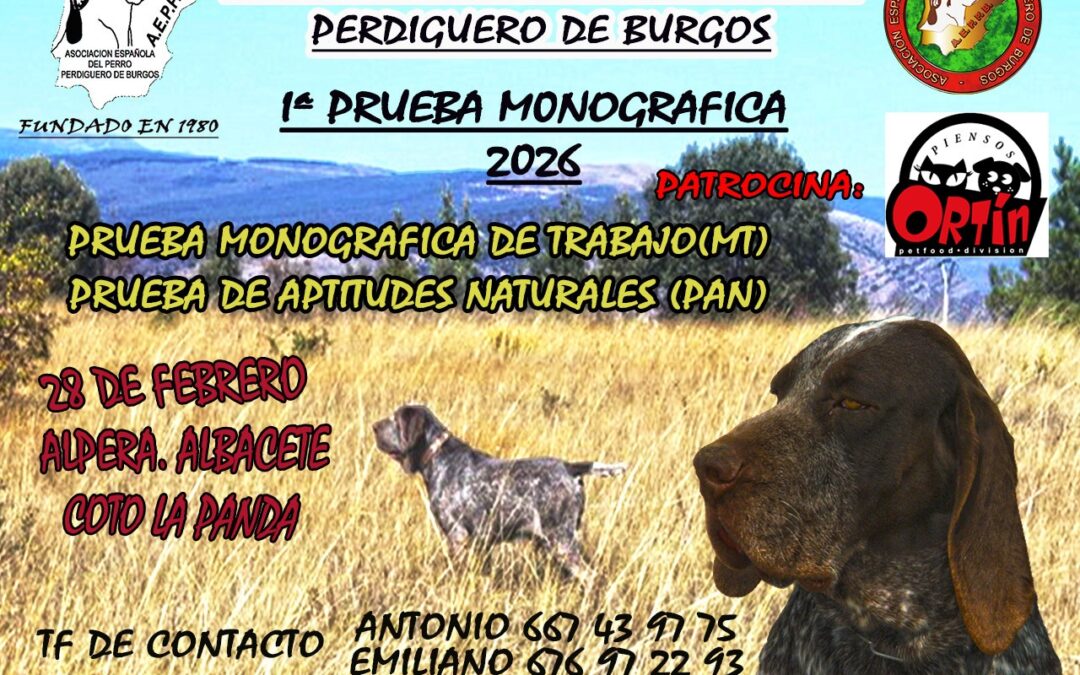 2026/02/28 PROGRAMA PRUEBA DE ALPERA-ALBACETE