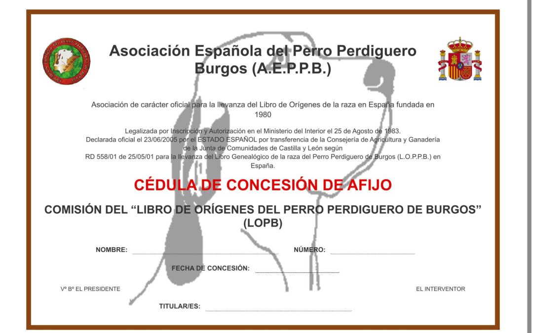 AFIJOS Y CAMADAS